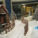 IMG_1117